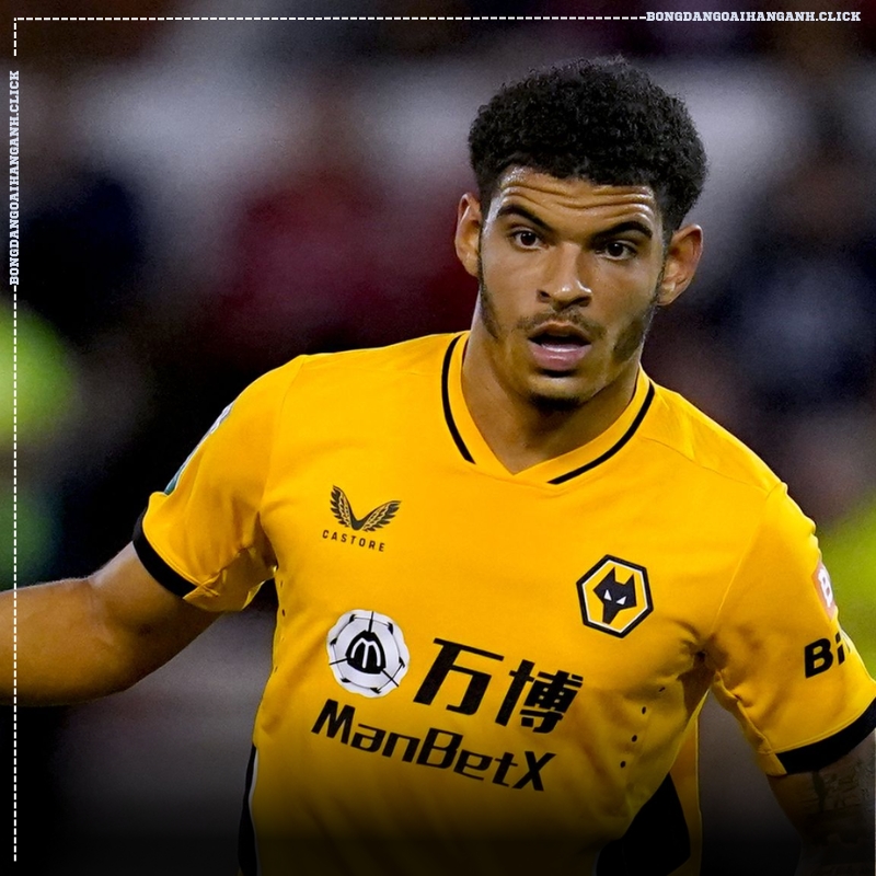 Morgan Gibbs-White (Wolverhampton)